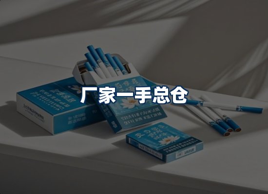 专业团队办公环境